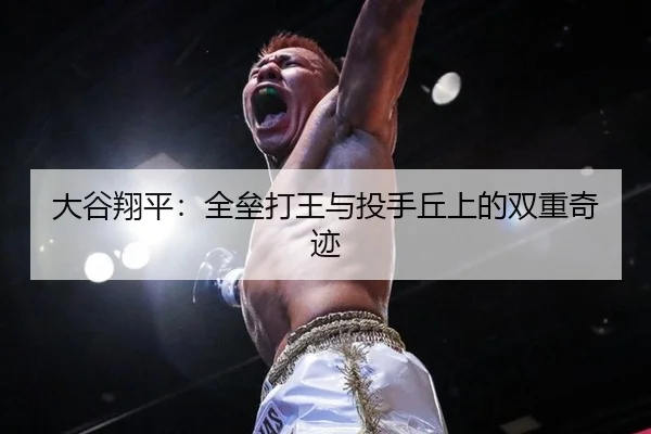 da-gu-xiang-ping-quan-lei-da-wang-yu-tou-shou-qiu-shang-de-shuang-chong-qi-ji-2-538.jpg