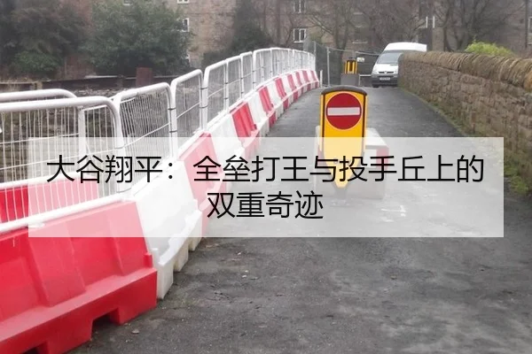 大谷翔平：全垒打王与投手丘上的双重奇迹