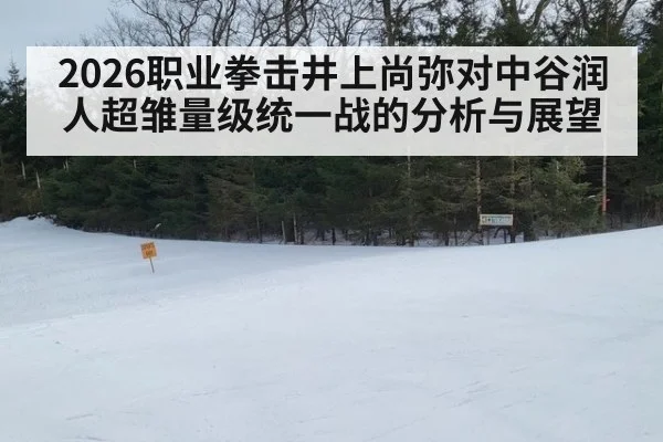 2026职业拳击井上尚弥对中谷润人超雏量级统一战的分析与展望